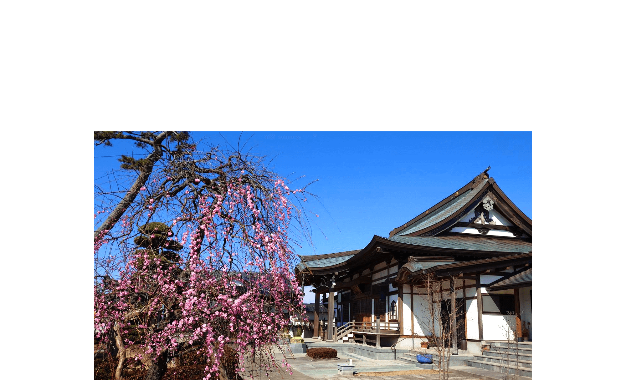 人と人との深い絆が結ばれる寺院